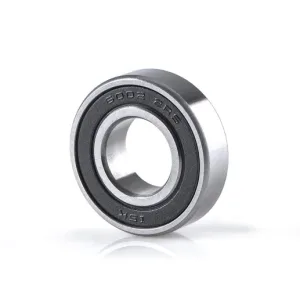 6002-2RS Bearing (NBWZ)