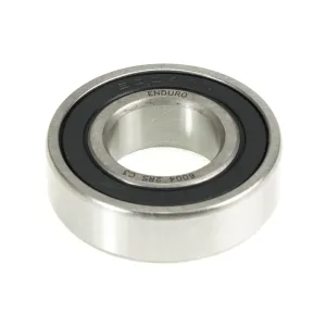 6004-2RS Bearing (N/M)