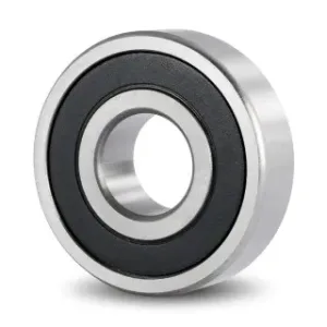 6300-2RS Bearing (NBWZ)