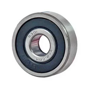 6301-2RS Bearing (INA Vietnam)