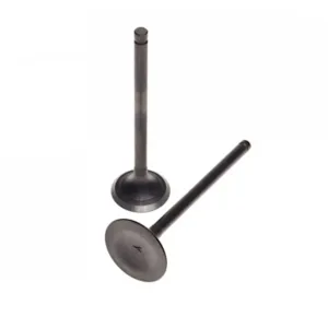 Suzuki EN 125 Engine Valve Set
