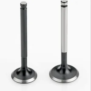 Honda CD 100 Engine Valve Set