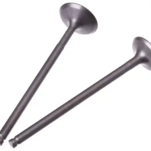 Suzuki GN 125 Engine Valve Set
