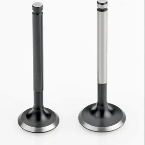 Honda CD 100 Engine Valve Set
