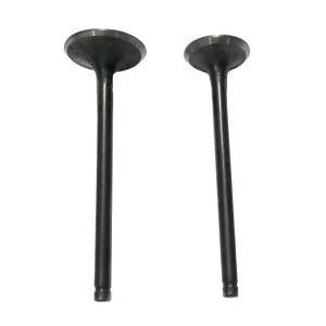 Suzuki GN 125 Engine Valve Set