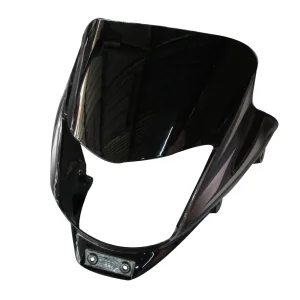 Platina 100 Headlight Mask